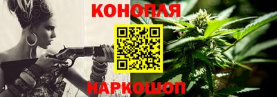 гидра Кингисепп