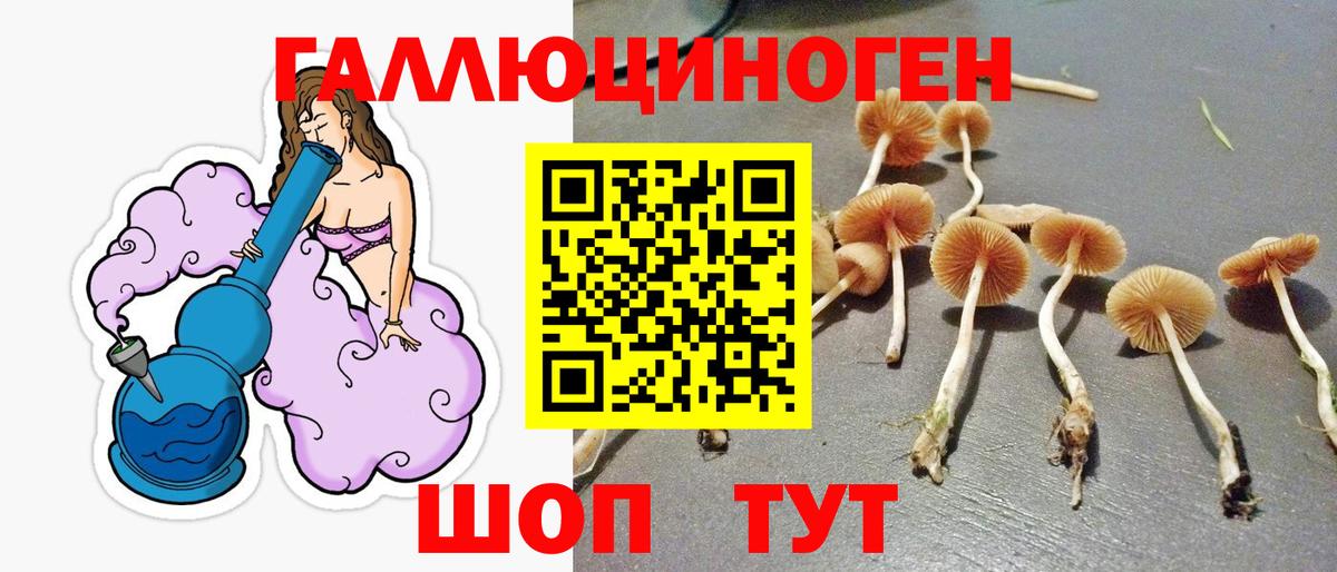 Галлюциногенные грибы мухоморы Котовск