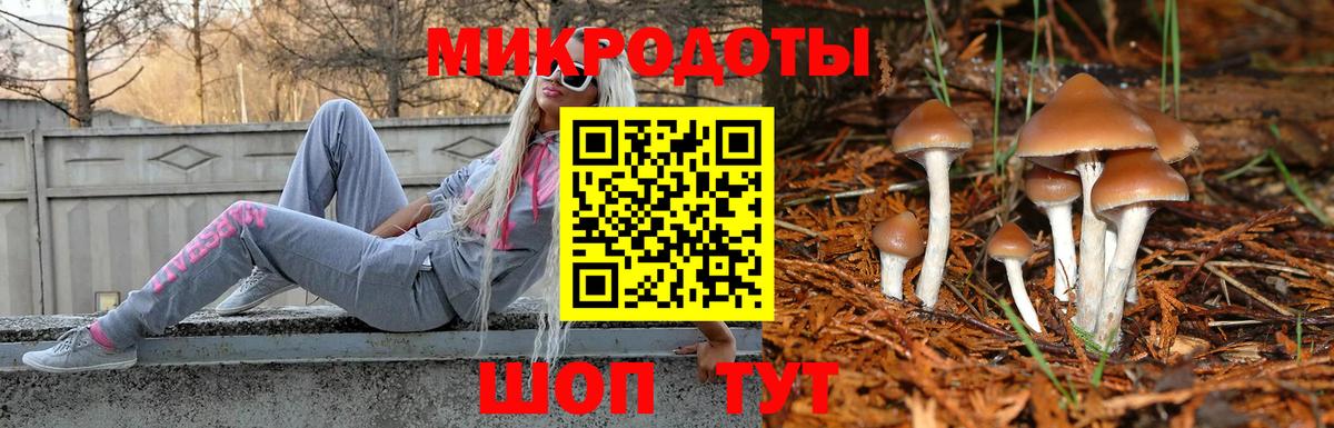 Котовск  Псилоцибиновые грибы Psilocybine cubensis  Псилоцибиновые грибы Magic Shrooms  Вход с VPN 